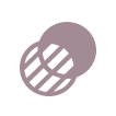 icon1